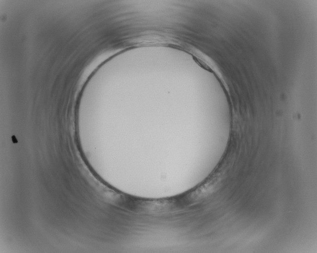 X0000076251195200610191641