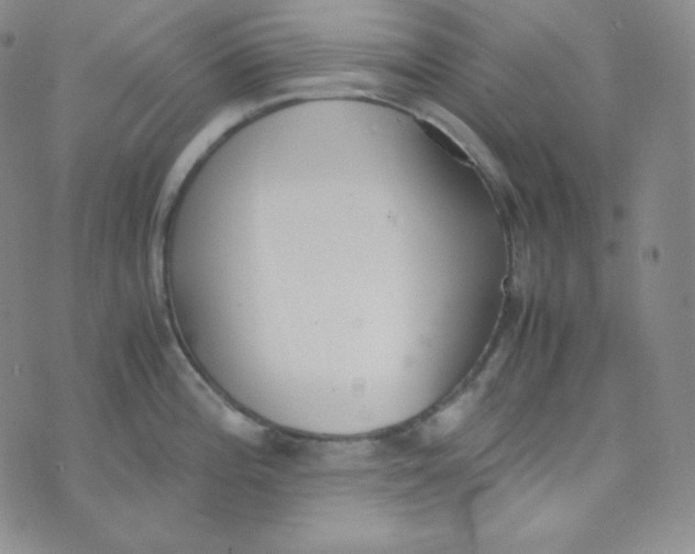 X0000076251196200610191641