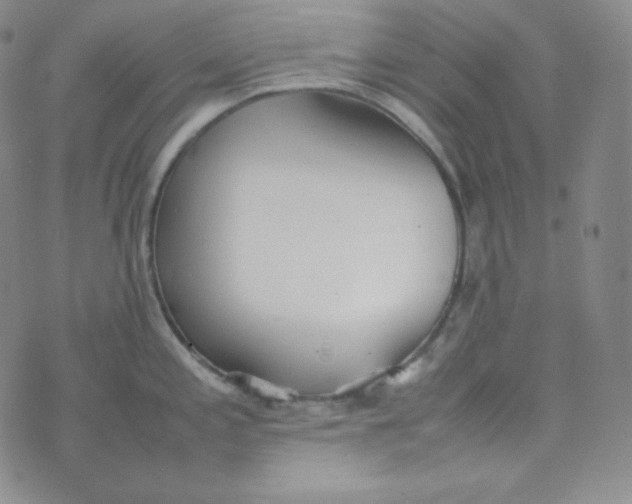 X0000076251197200610191641