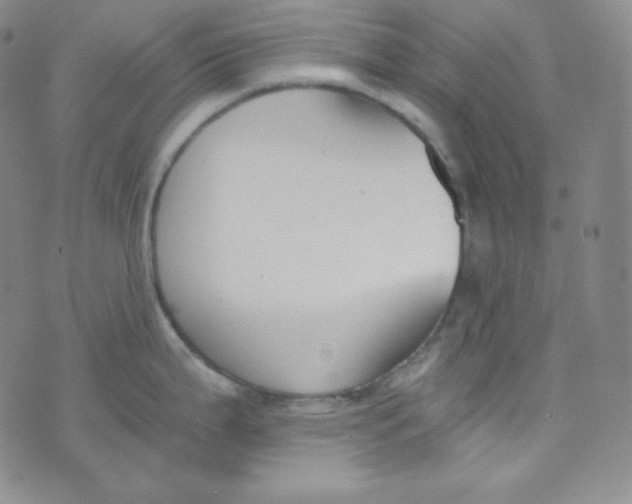 X0000076251199200610191641