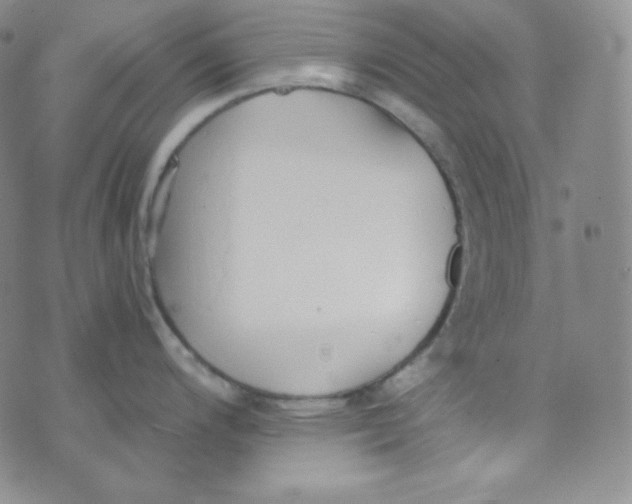 X0000076251200200610191641