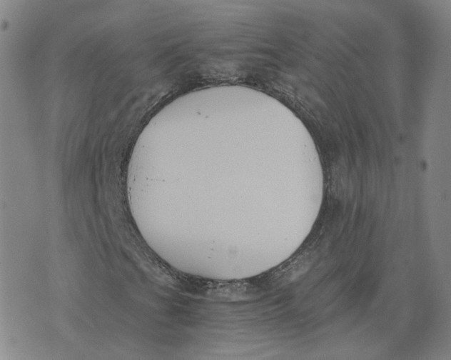 X0000076251201200610191640