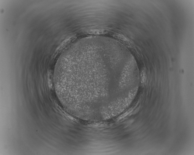 X0000076251202200610191640