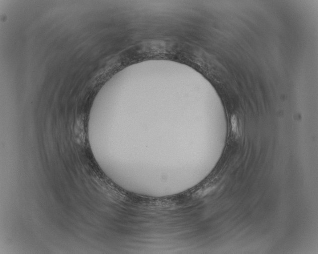 X0000076251203200610191640