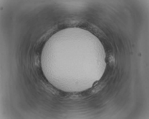 X0000076251204200610191640