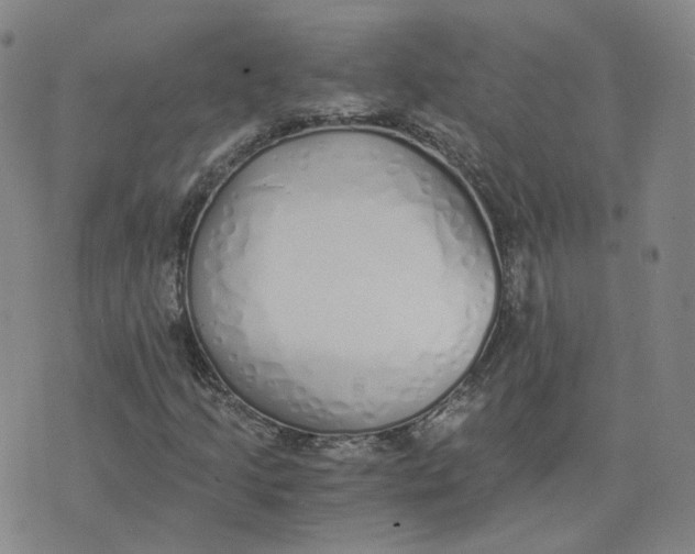 X0000076251205200610191640