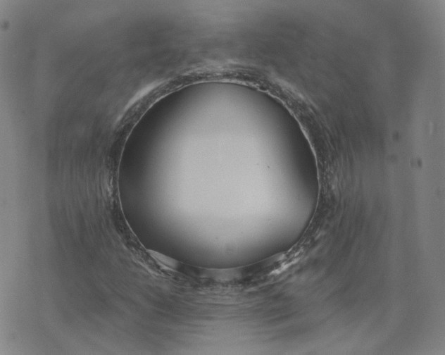 X0000076251206200610191640