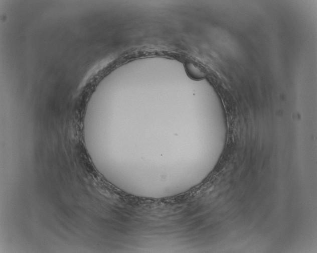 X0000076251207200610191640