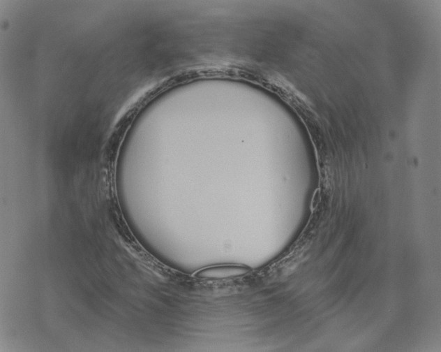 X0000076251208200610191640