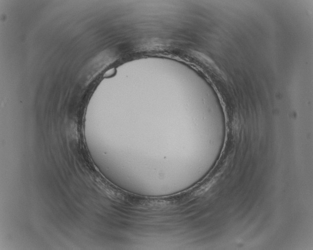 X0000076251209200610191640