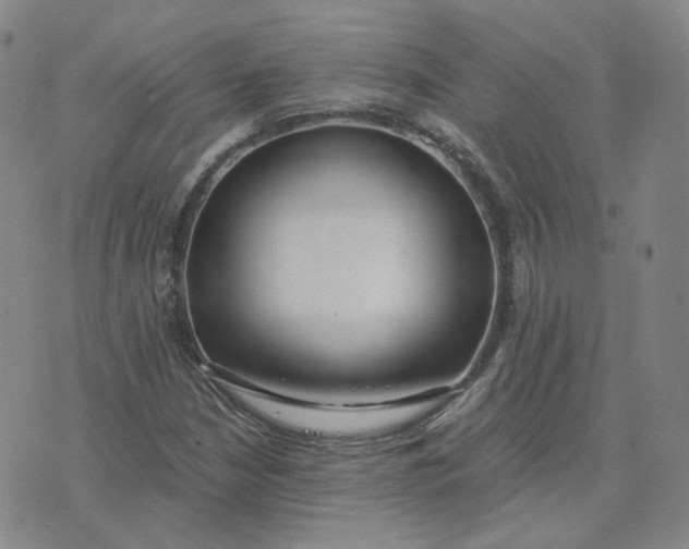 X0000076251210200610191640