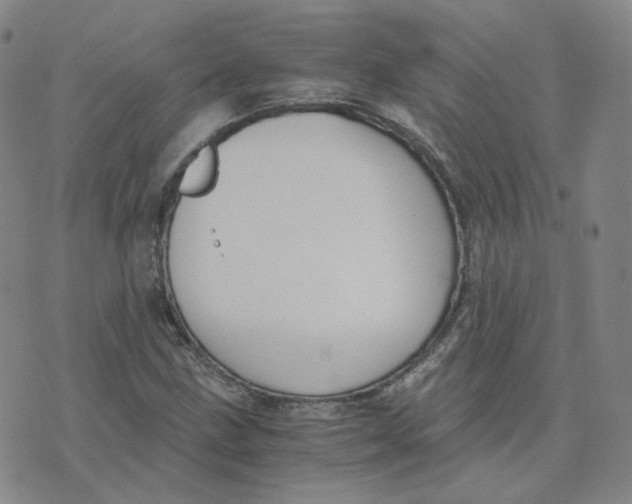 X0000076251211200610191640