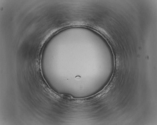 X0000076251212200610191640