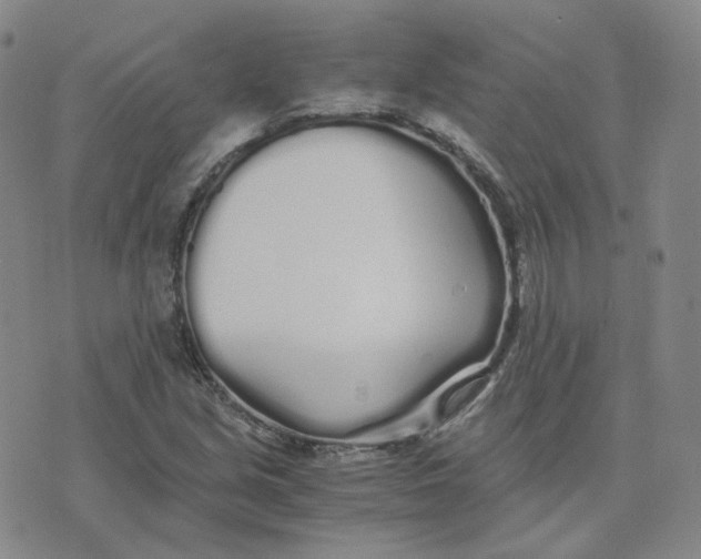 X0000076251213200610191640