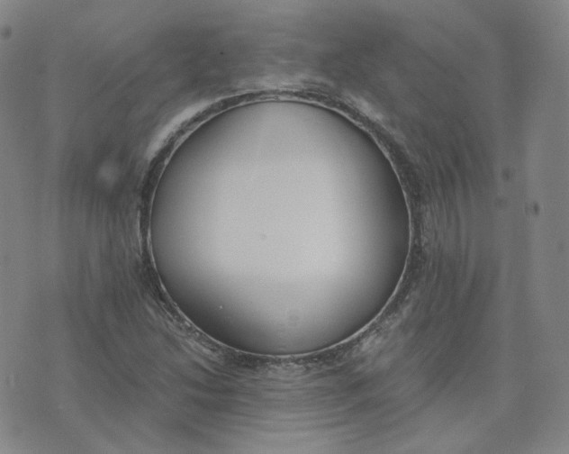 X0000076251214200610191640