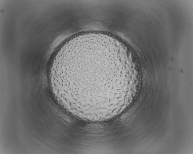 X0000076251215200610191640