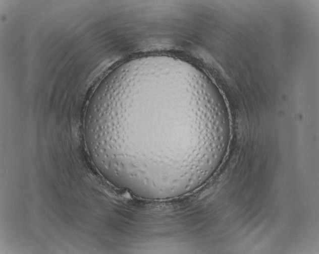 X0000076251217200610191640