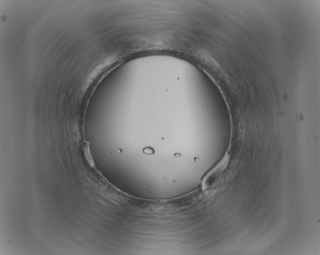 X0000076251218200610191640