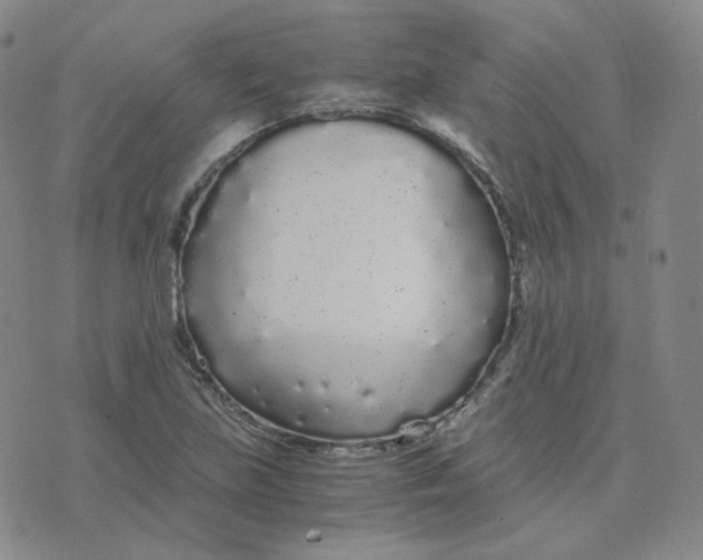 X0000076251219200610191640