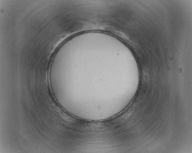 X0000076251220200610191640