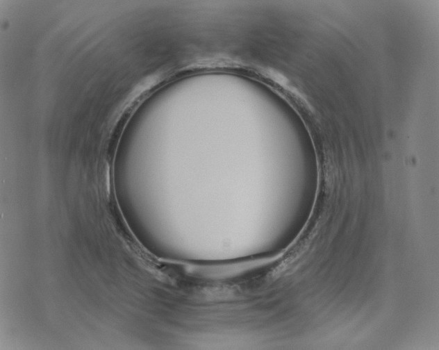 X0000076251221200610191640