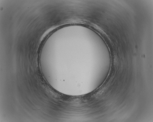 X0000076251222200610191640