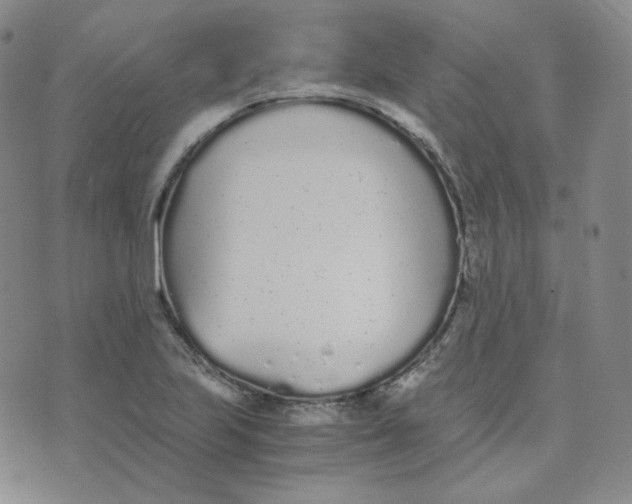 X0000076251223200610191640