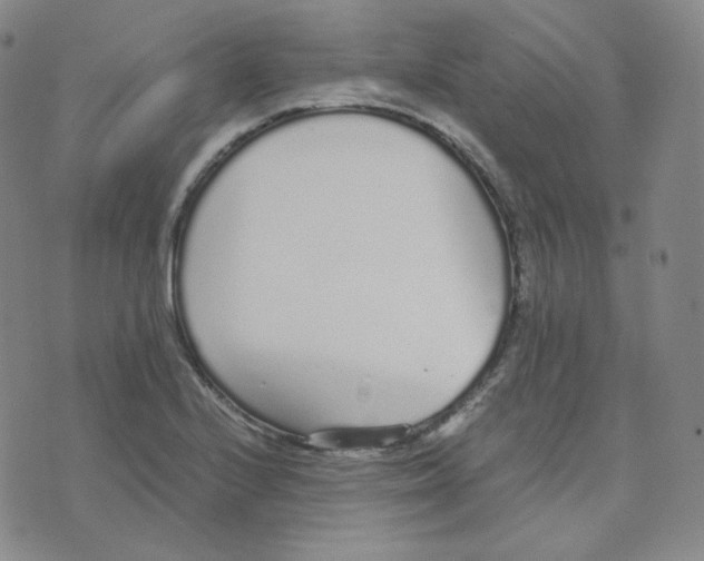 X0000076251224200610191640