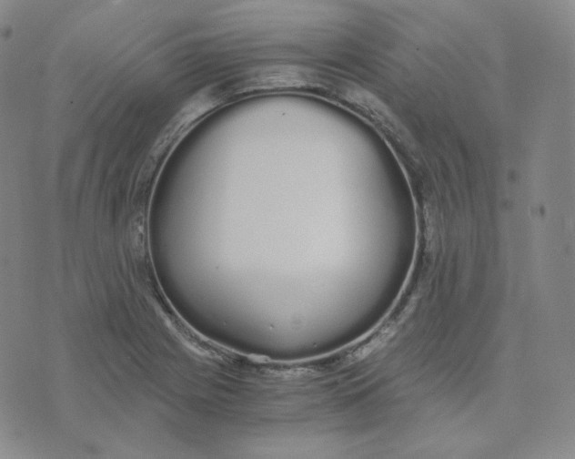 X0000076251225200610191640