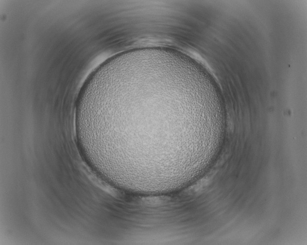 X0000076251227200610191640