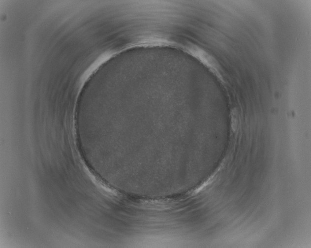 X0000076251229200610191640