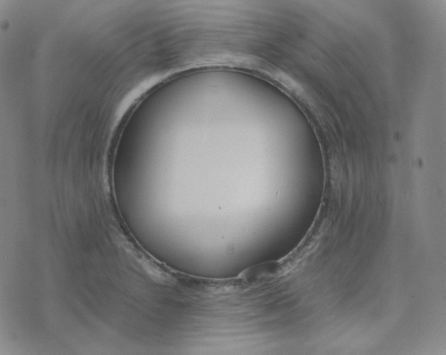 X0000076251230200610191640