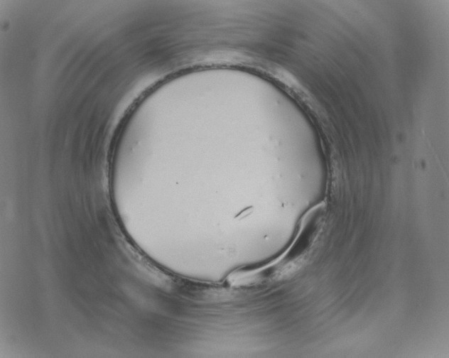 X0000076251232200610191640