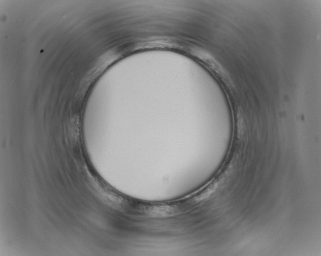 X0000076251233200610191640