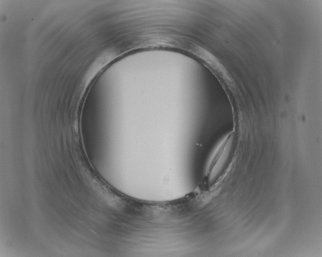 X0000076251234200610191640