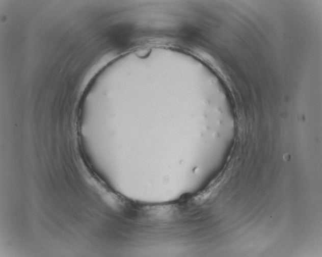 X0000076251235200610191640