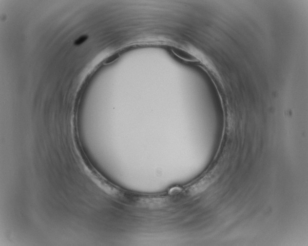 X0000076251237200610191640