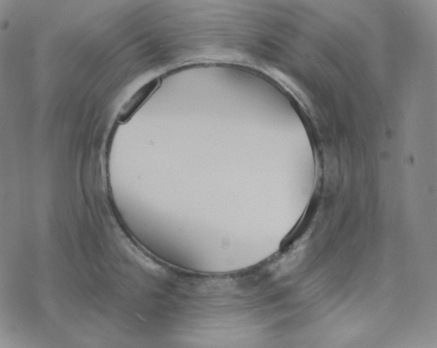 X0000076251238200610191640