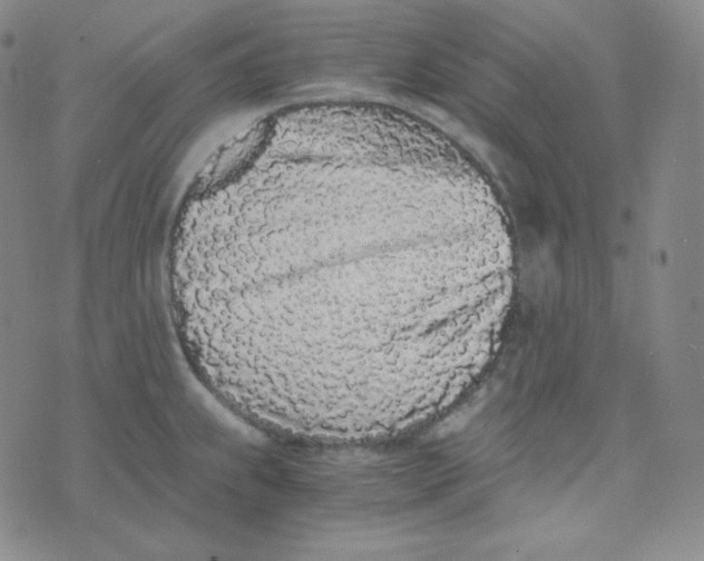 X0000076251239200610191641