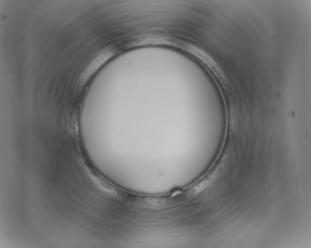 X0000076251241200610191641