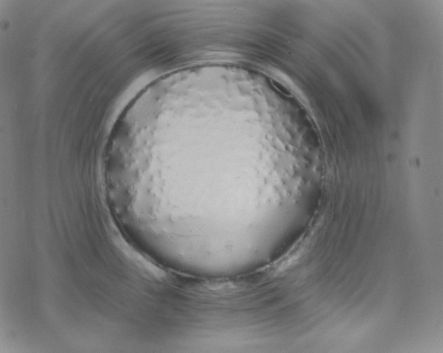 X0000076251243200610191641