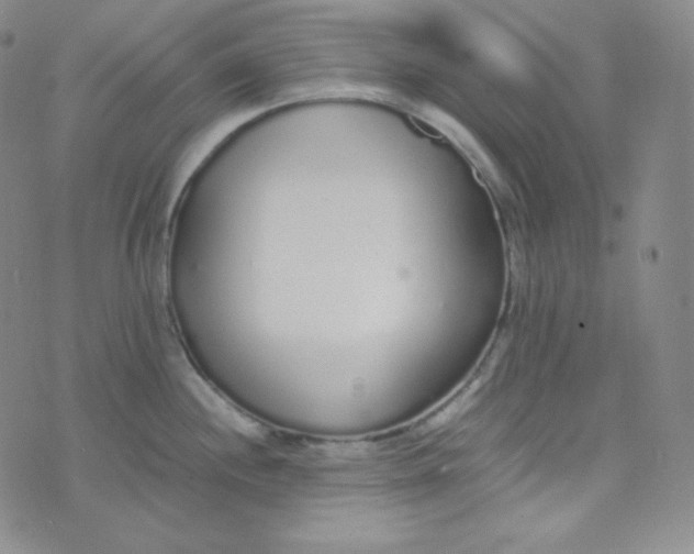 X0000076251244200610191641