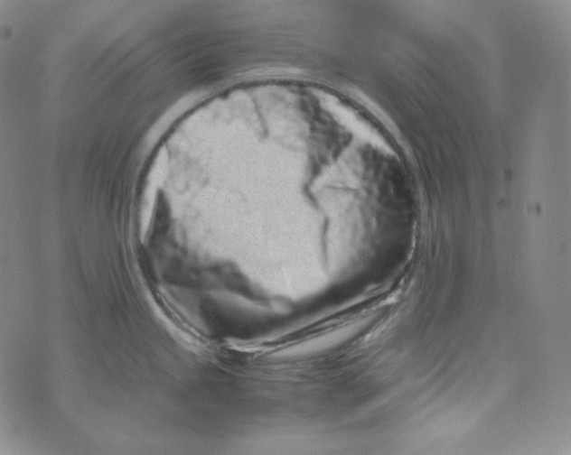 X0000076251245200610191641