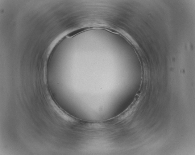 X0000076251246200610191641