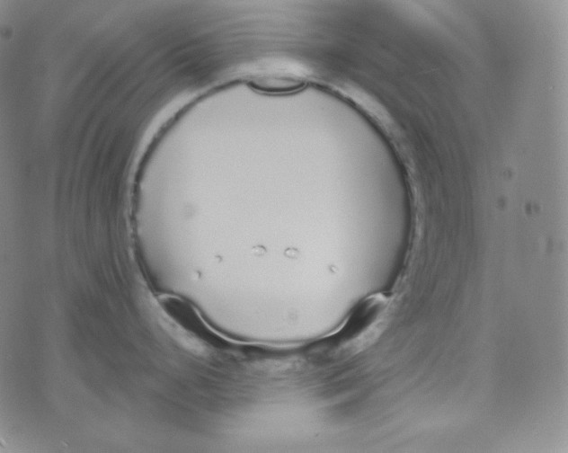 X0000076251248200610191641