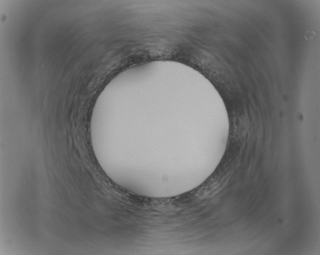 X0000076251249200610191640