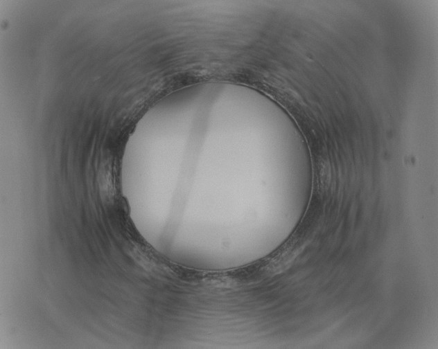 X0000076251250200610191640