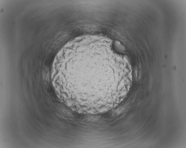 X0000076251251200610191640