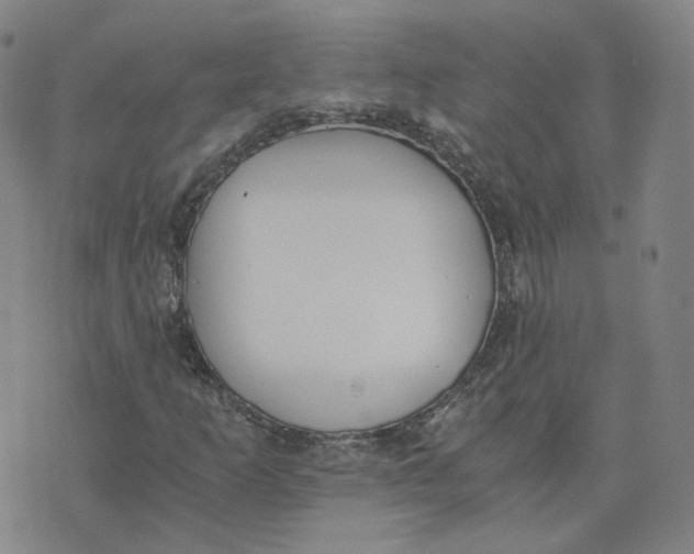 X0000076251253200610191640