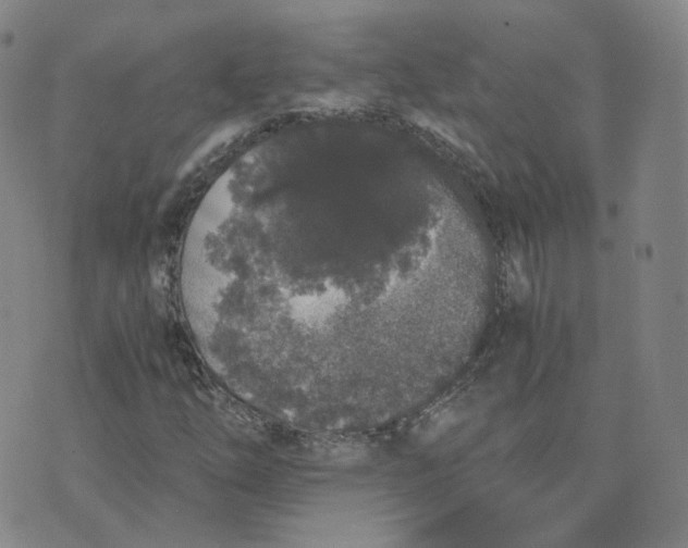 X0000076251254200610191640